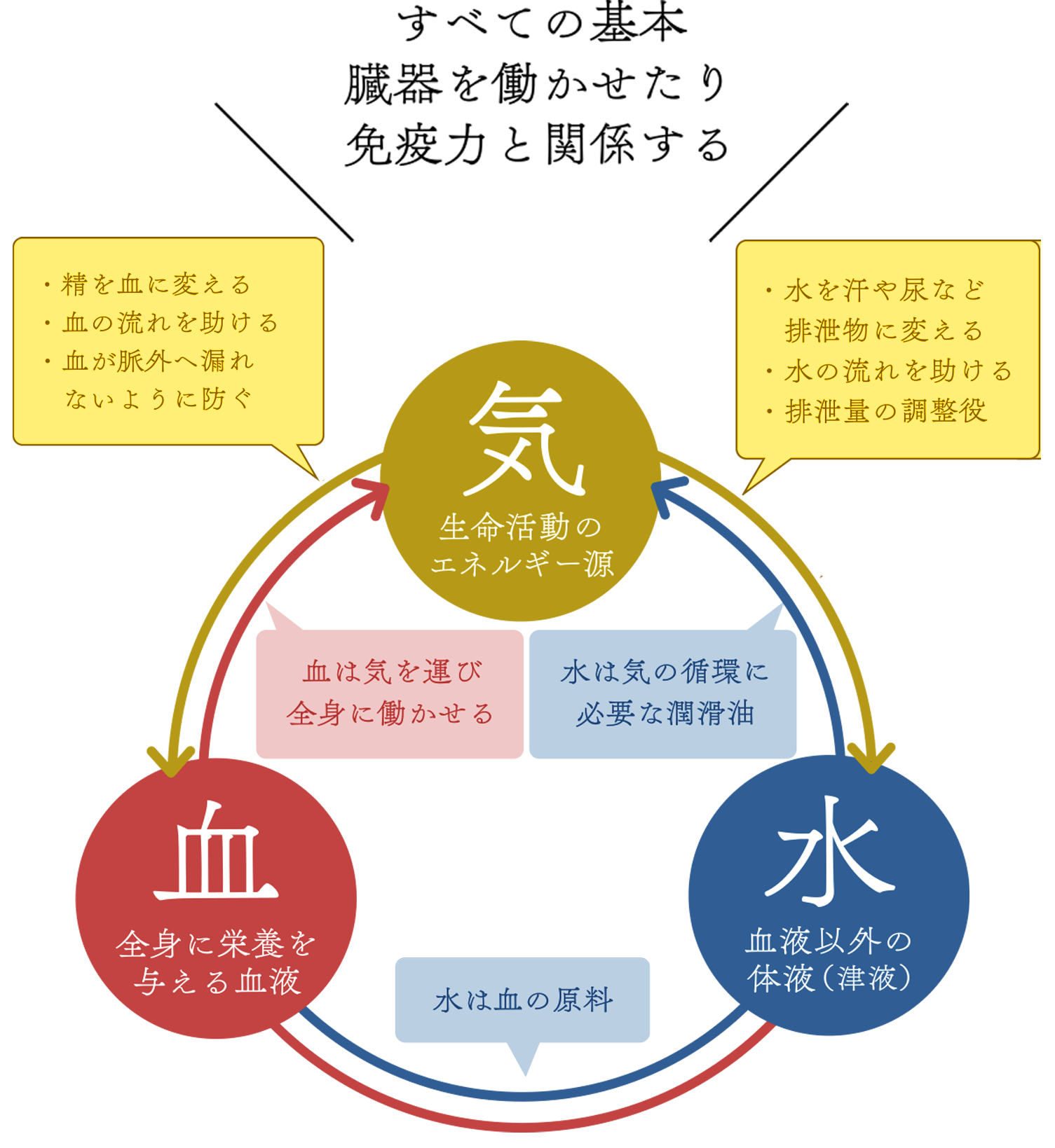 東洋医学の「気・血・水」