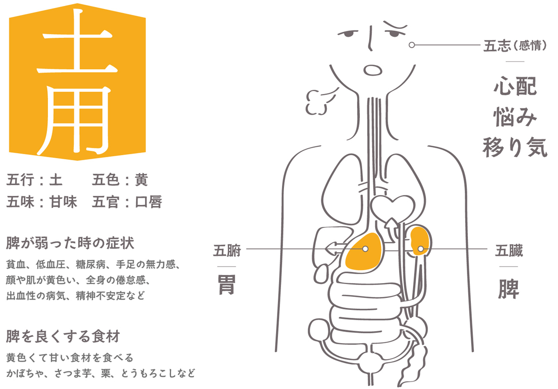 土用／脾の臓の役割(土)